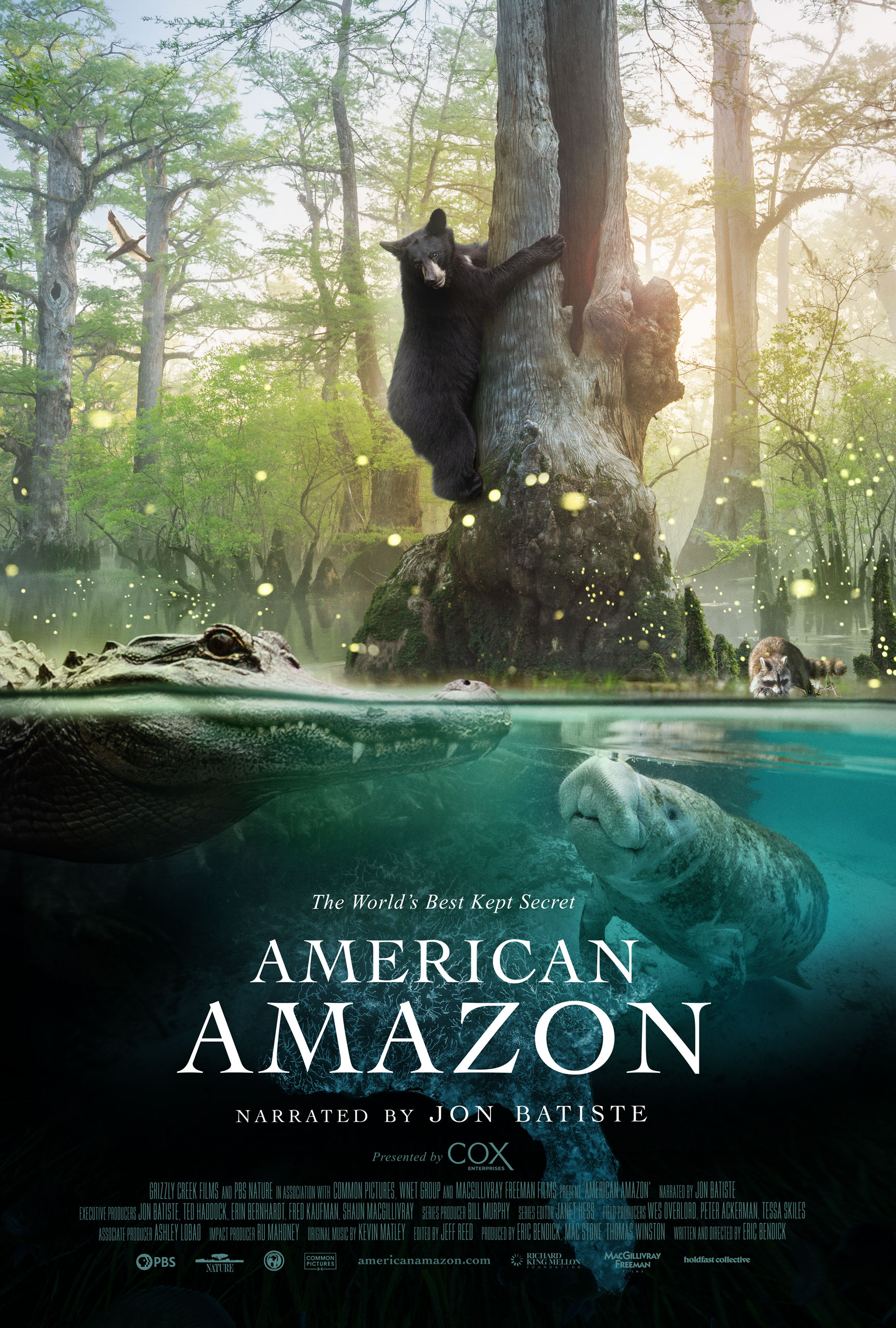 American Amazon