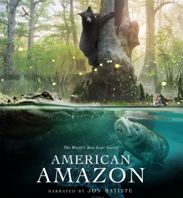 American Amazon