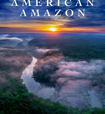 American Amazon