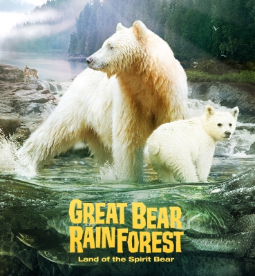 Great Bear Rainforest Feature