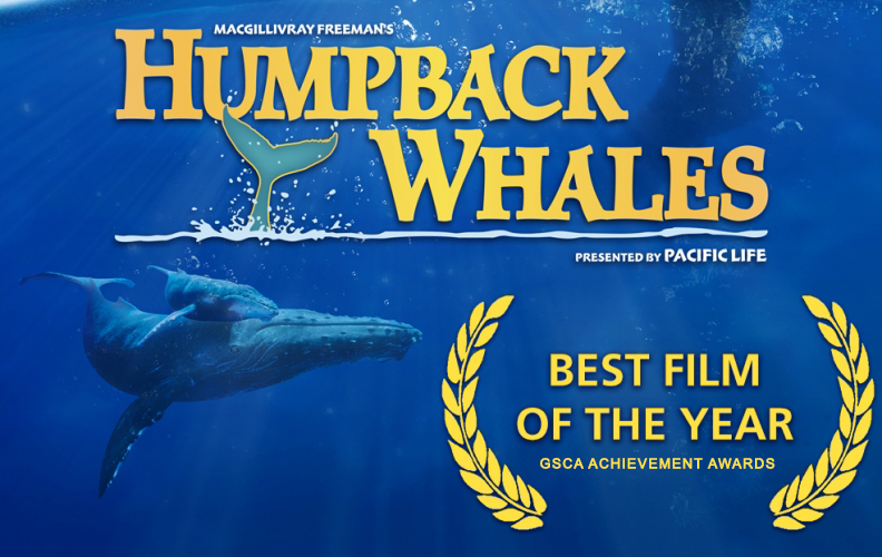 ‘Humpback Whales’ Wins Best Film of the Year at the GSCA Film Awards