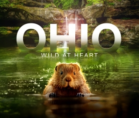 Ohio’s natural wonders star in new film for giant screen theaters “Ohio: Wild at Heart”