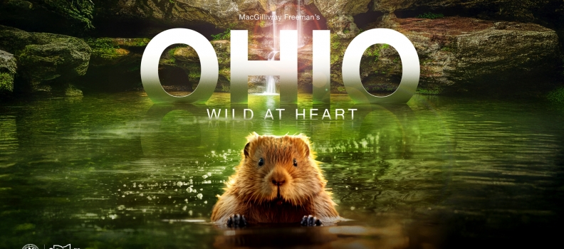 Ohio’s natural wonders star in new film for giant screen theaters “Ohio: Wild at Heart”