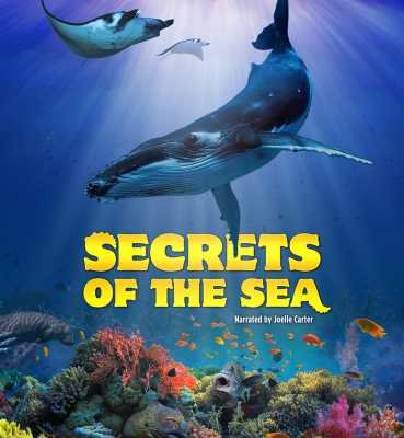 Secrets of the Sea Feature