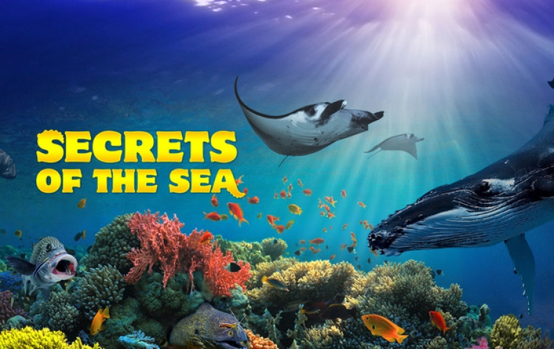 American Actress Joelle Carter to Narrate Giant Screen Film “Secrets of The Sea”