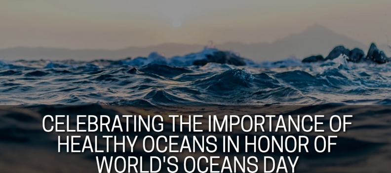 Celebrating the Importance of Healthy Oceans in Honor of World Oceans Day